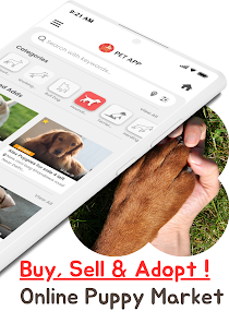 Dog buying app discount