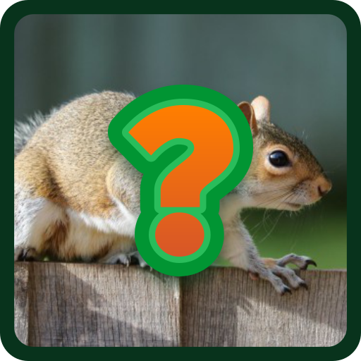 Tebak Nama Nama Hewan Mamalia