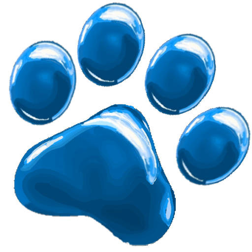 Aqua Puzzle logo