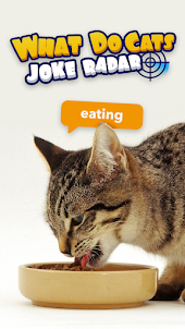 What Do Cats: Joke Radar