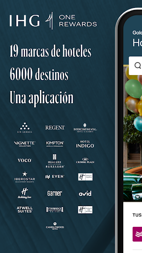 Vista previa de la aplicación
