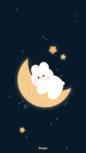 카카오톡 테마 - 밤하늘 토끼 카톡테마