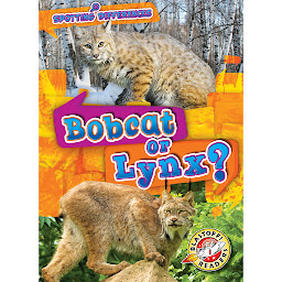 Obraz ikony: Bobcat or Lynx?