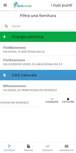 GEKO - Area clienti Screen 2