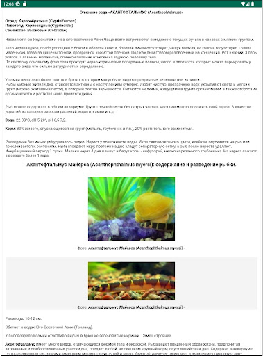 Справочник аквариумных рыбок Screen 2