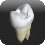 CavSim - Dental Cavity Preps