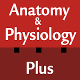 Anatomy & Physiology Cards icon
