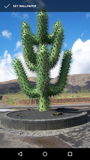 Android application Prickly Cactus Wallpapers screenshort