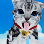 Cat Simulator - Football adven