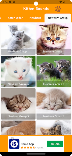 Kitten Sounds Screen 3