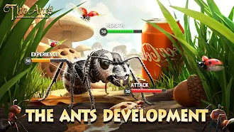 Game screenshot The Ants: Underground Kingdom mod apk