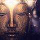 Buddha Quotes & Wisdom Download on Windows