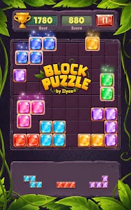 Block Puzzle Champions 5