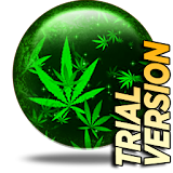 Marijuana Live Wallpaper  FREE TRIAL icon