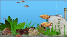 Aquarium Fishのおすすめ画像4