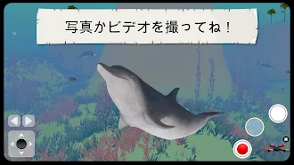 Game screenshot 4D Kid Explorer: 野生動物－子供向け教育ゲ hack