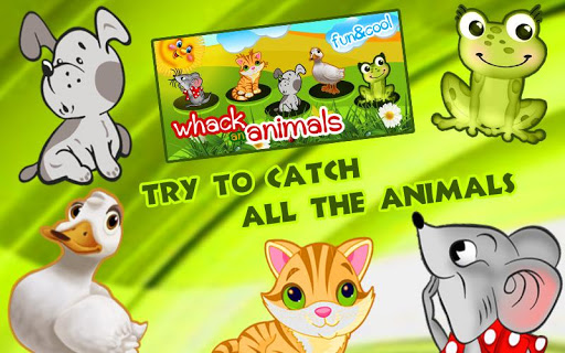 Android application Catch the Animals for kids screenshort