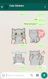 Katzen-Aufkleber fÃ¼r Chat Screenshot