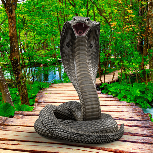 Snake Live Wallpaper logo