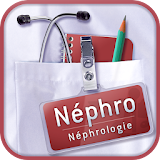 SMARTfiches Néphrologie Free icon