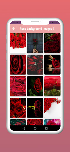 Rose backgrounds