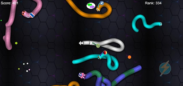Snake Worm Slither Zone IO Unknown