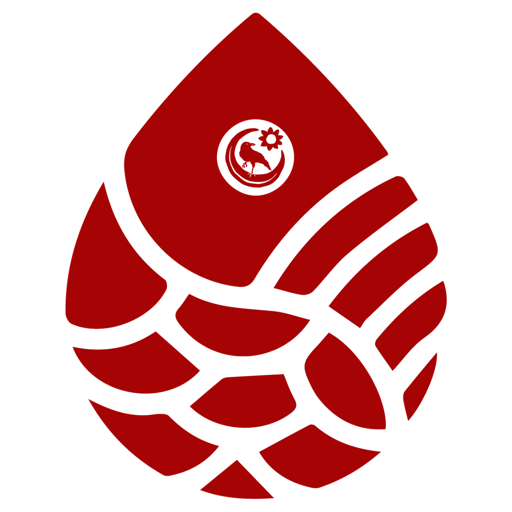 Diolosa Linie logo