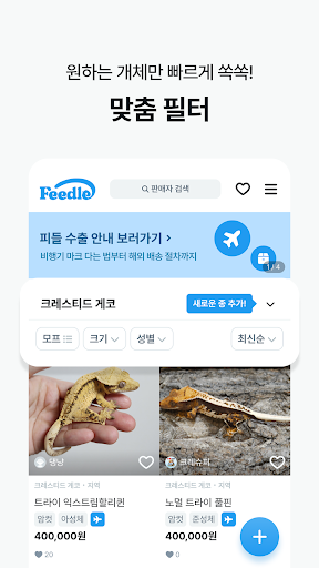 피들 Screen 3
