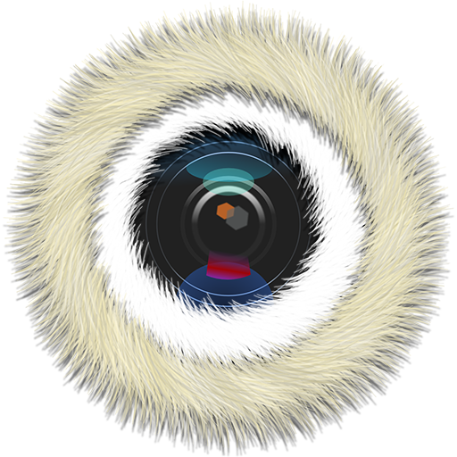 Fluffy Camera logo
