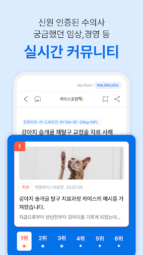 벳플레이스 Screen 3