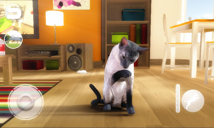 Talking Blue Siamese Cat - 1.1.8 - (Android)