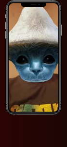 Smurf Cat Fake Video Call