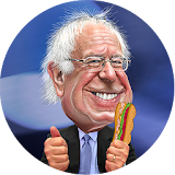 Bernie Sandwiches icon