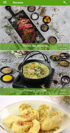 Vista previa de la aplicación