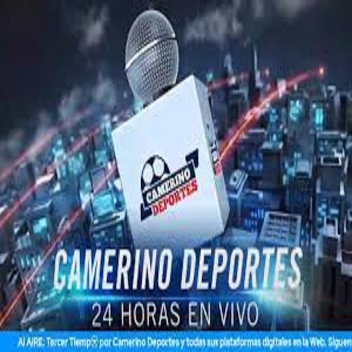 SOLO BOXEO EN VIVO Screen 3