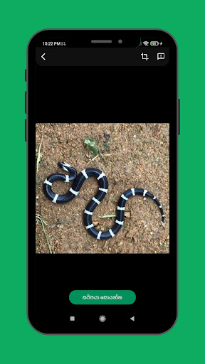 Snake Info Screen 2