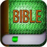 Holy bible NIV icon