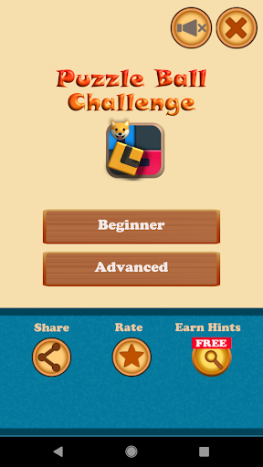 Android application Puzzle Ball Challenge screenshort