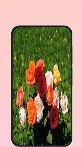 Screenshot 5 rose picture android
