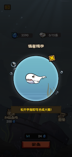BeKun Screen 3