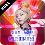 Cover Image of ดาวน์โหลด DJ TE MOLLA REMIX OFFLINE TERBARU 2021 📀📀📀 4.0 APK
