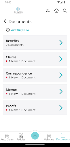 Bulger Insurance Online Screen 3