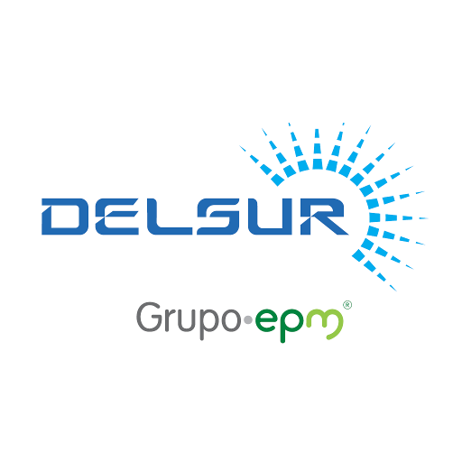 Delsur logo