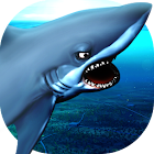 Angry Shark 1.0.4