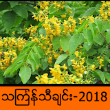 Myanmar Thingyan icon