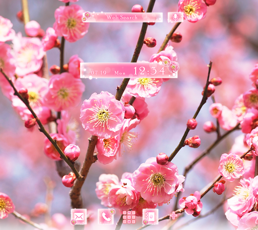Android application Advent of Spring Theme +HOME screenshort