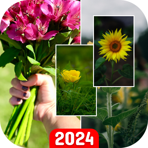 Flower Wallpapers 4K: FULL HD logo