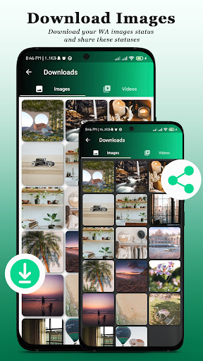 Android application Status Video Downloader screenshort