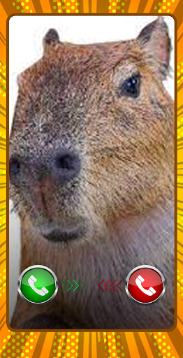 Android application Capybara Funny calling screenshort