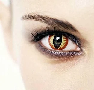 contact lens style